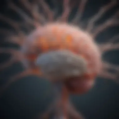 Neural Pathways and Their Role in Brain Health Illustration depicting the brain's neural pathways