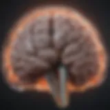 Detailed MRI scan showcasing brain tumor