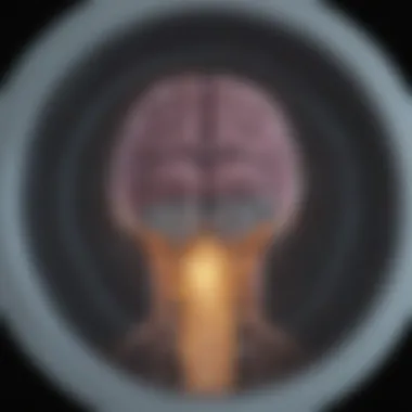 Diagram illustrating MRI scan interpretation