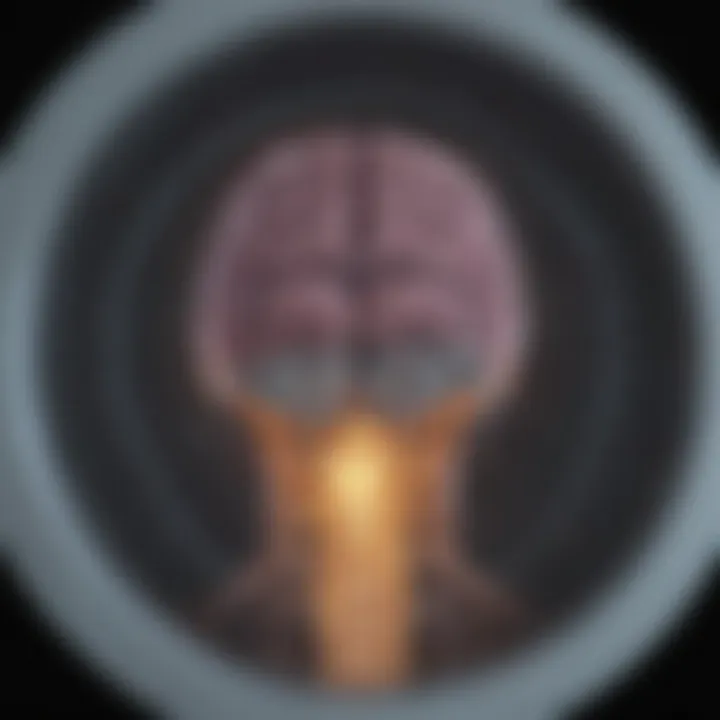 Diagram illustrating MRI scan interpretation