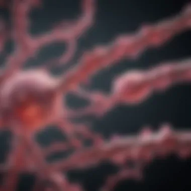 Depiction of molecular pathways in breast cancer progression