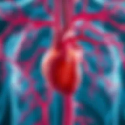 An illustration depicting the heart's anatomy and circulatory system.