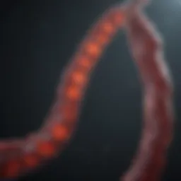 Understanding Chromosome 11 and Sickle Cell Disease: An In-Depth Analysis Introduction