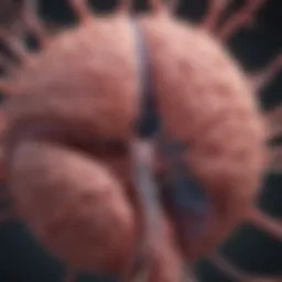 Illustration depicting the microangiopathy in cerebral vessels