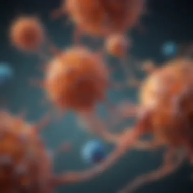 Diagram of Complement System Interactions Interactions of Complement System with Immune Components