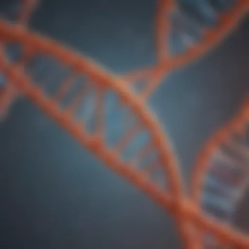 Illustration depicting the structure of complementary DNA