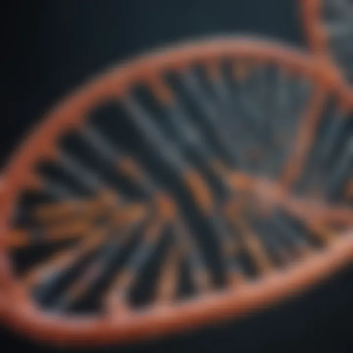 Representation of the cDNA synthesis process