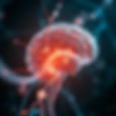 Illustration depicting the brain's neural circuits and stimulation pathways