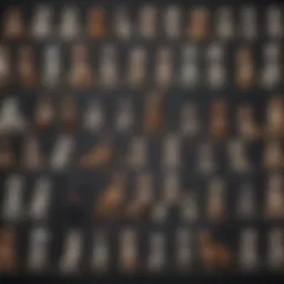 A historical timeline showcasing the evolution of various dog breeds