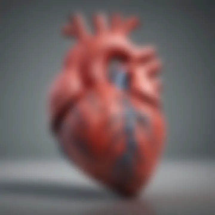 Diagram showcasing heart anatomy and echocardiographic views