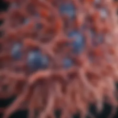 Understanding EGFR 20 Mutation: Implications and Advances Summary