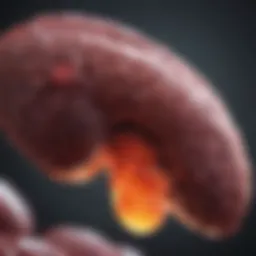 Visualization of liver enzyme levels