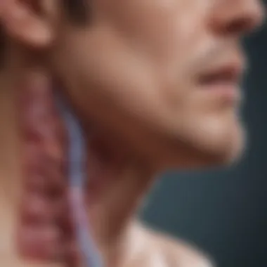 Causes of Esophageal Narrowing Diagram illustrating potential causes of esophageal constriction
