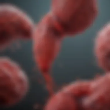 Diagnosis of Genetic Blood Clot Disorders Chart showing diagnostic methods for blood clot disorders