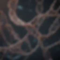 A visual representation of genomic sequences