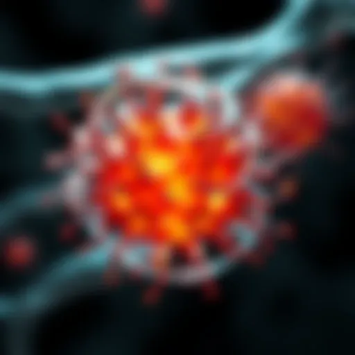 Understanding GFR 53 Stage: Insights and Implications Introduction