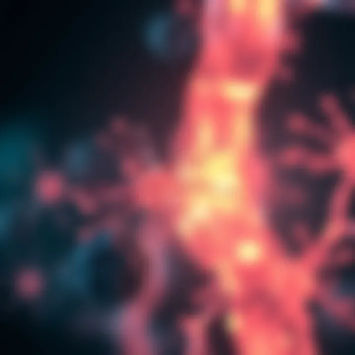 Understanding GFR 53 Stage: Insights and Implications Summary