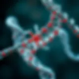 A molecular representation of genetic modification techniques