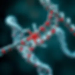 A molecular representation of genetic modification techniques