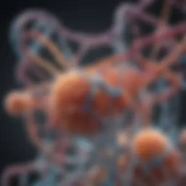 Structural Characteristics of hcvrna Visual representation of hcvrna structure