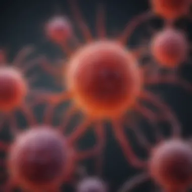 B-Cell Receptor Function in Immunity Diagram illustrating the role of B-cell receptors in immunity