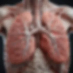 Detailed diagram of the lung structure affected by idiopathic lung disease