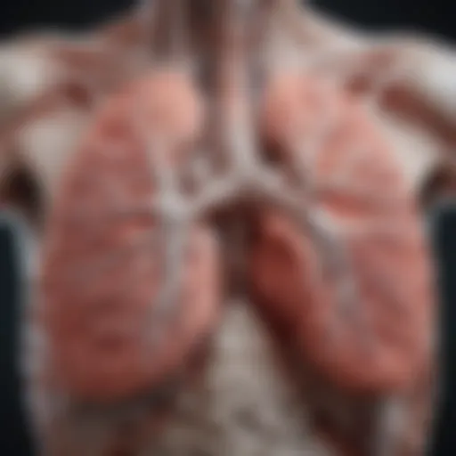 Detailed diagram of the lung structure affected by idiopathic lung disease
