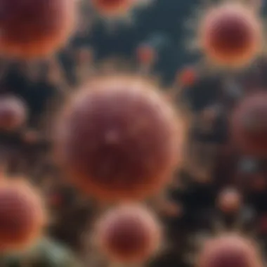Visualization of the immune system's components