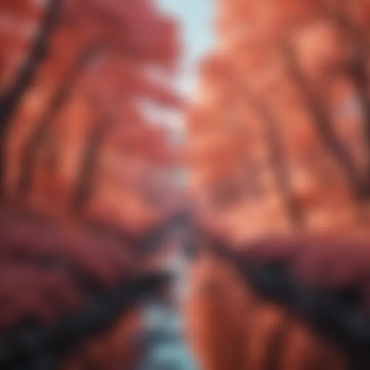 Infrared imaging applications in environmental science