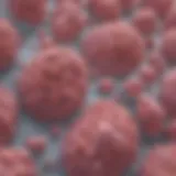 Pathological representation of invasive ductal carcinoma cells