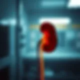 Understanding Kidney Failure Grading Introduction Understanding Kidney Failure Grading Introduction