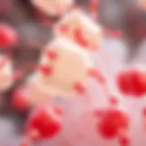 Microscopic View of Klebsiella Bacteria Microscopic view of Klebsiella bacteria