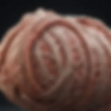 Visual Representation of Muscle Fibers Undergoing Decay Illustration of muscle fibers in decay