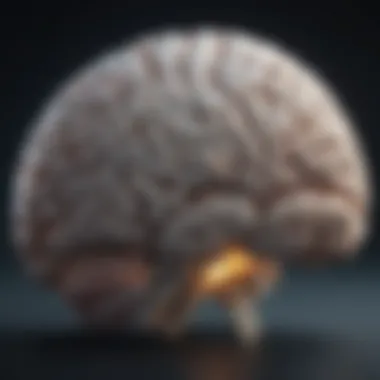Brain Activity and Sleep Cycles Illustration of the brain's activity during sleep cycles