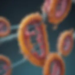 Illustration depicting the structure of operons in genetic regulation