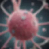 Diagram illustrating hormone therapy mechanisms in breast cancer treatment