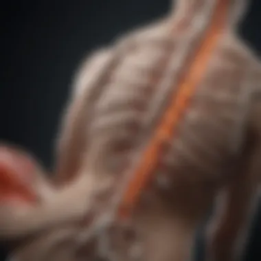 Conditions Impacting Spinal Pain Illustration showcasing various conditions affecting spinal pain