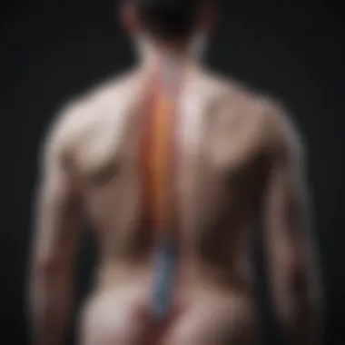 Therapeutic Strategies for Spinal Pain Management Diagram depicting therapeutic strategies for managing spinal pain