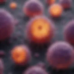 Microscopic view of pancreatic cancer cells
