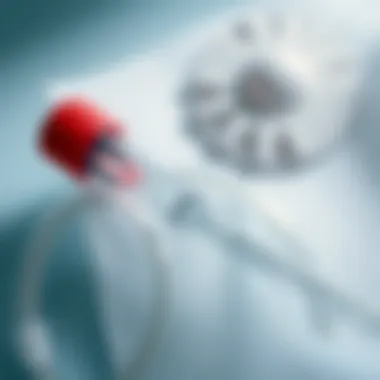 Notable Understanding Permanent Catheters: Definitions, Types, and Implications Notable Understanding Permanent Catheters: Definitions, Types, and Implications