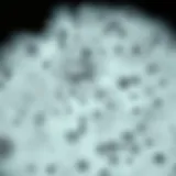 A close-up of PM 2.5 particles under a microscope