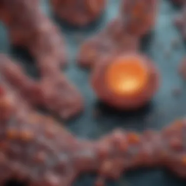 Genetic Mapping of PKD Genetic mapping related to Polycystic Kidney Disease