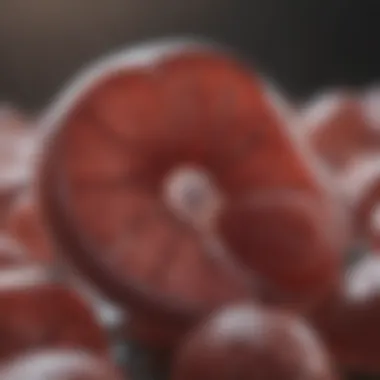 Current Treatment Options for PKD Visualization of current treatment options for PKD
