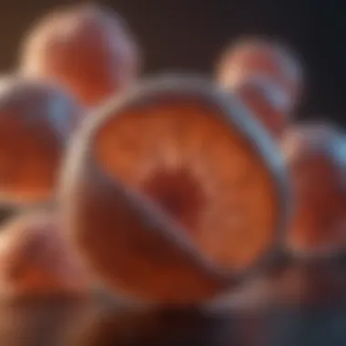 Current Research Trends in Prostate Enzymes Visual representation of current research trends in prostate enzyme studies