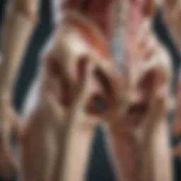 Detailed illustration of joint anatomy affected by rheumatologic diseases