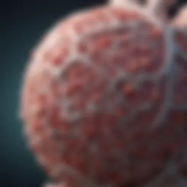 Emerging Research Linking HPV to Urological Diseases Research on HPV and urological diseases