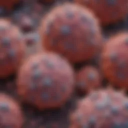 Microscopic view of sarcomatoid carcinoma cells