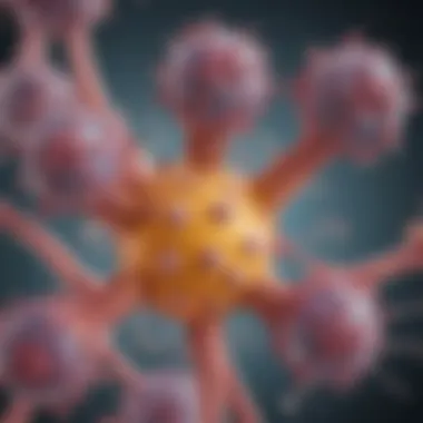 Diagram illustrating different types of scleroderma antibodies and their functions