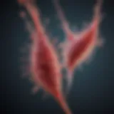 Illustration of spike protein interacting with antibodies
