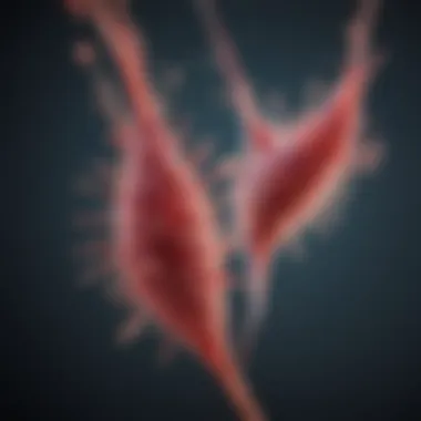Spike Protein Interaction with Antibodies Illustration of spike protein interacting with antibodies